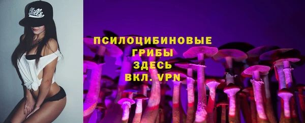 таблы Алексин