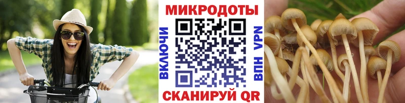 Галлюциногенные грибы Psilocybine cubensis  цены наркотик  Моздок 