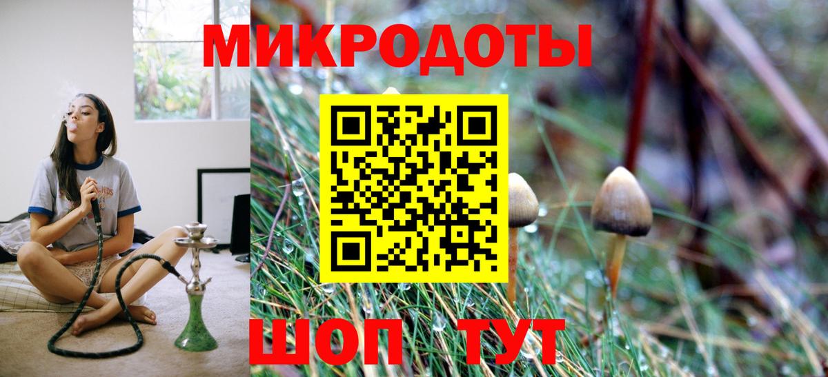 Псилоцибиновые грибы мицелий  Галлюциногенные грибы Psilocybe  Моздок  Вход с VPN 